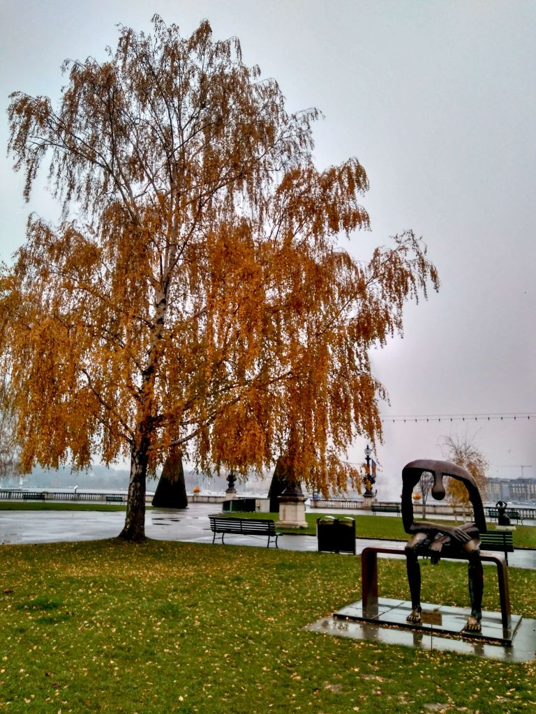 Melancolía, el Vacío del Alma ginebra