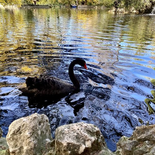Qué ver en El Capricho, el parque más bonito de Madrid