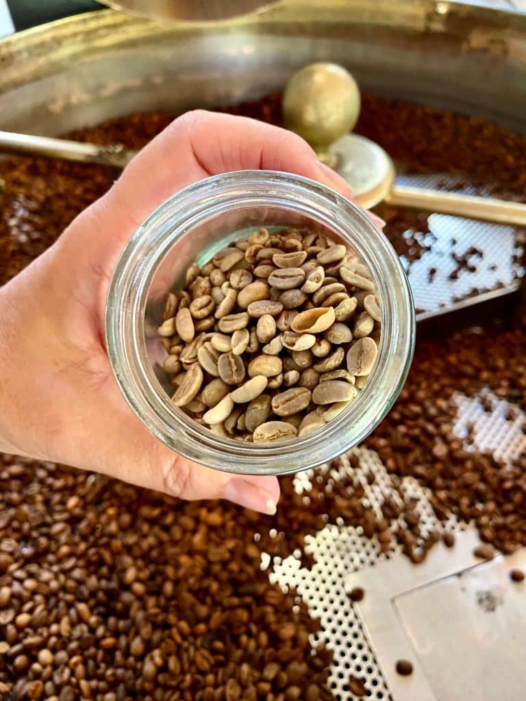 Plantación café Gran Canaria