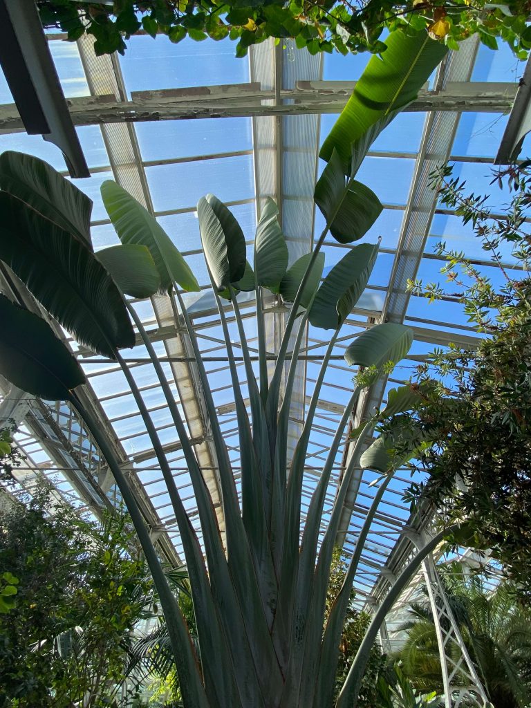 Palacio de Cristal Arganzuela Madrid
