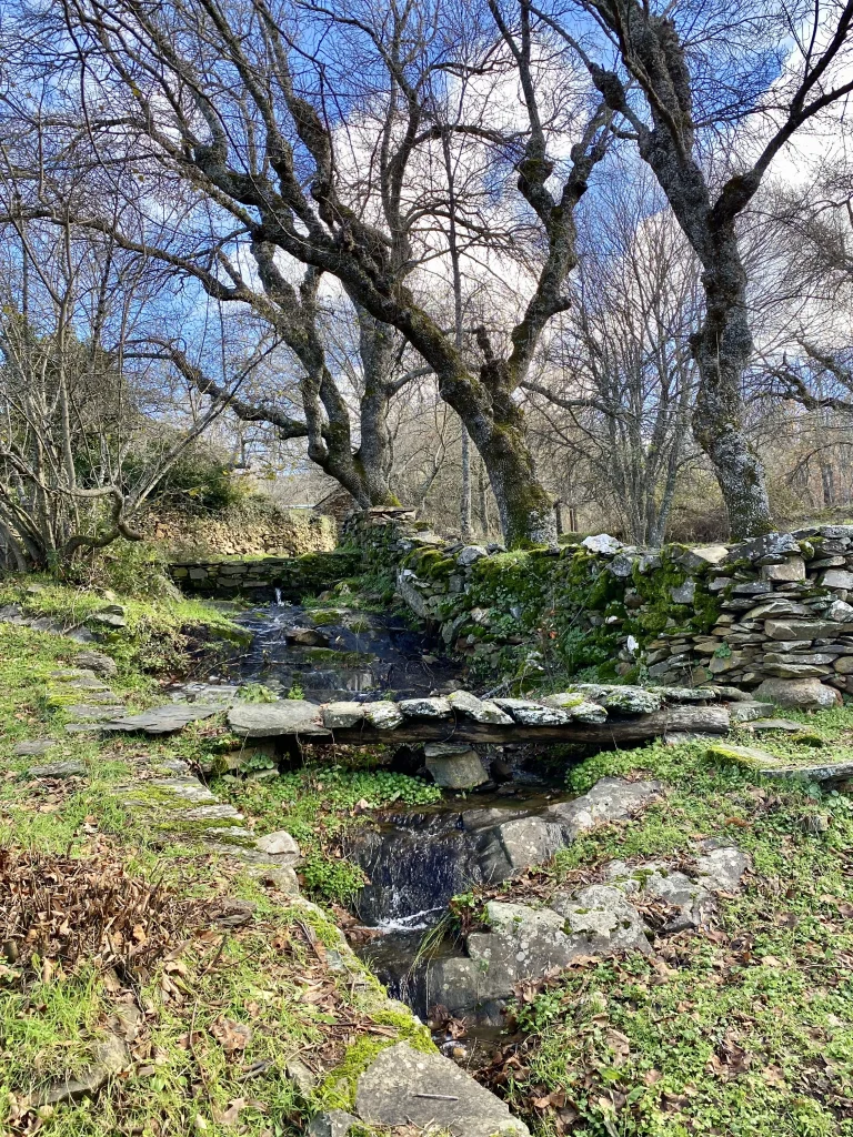 Umbralejo Pueblos Negros Guadalajara