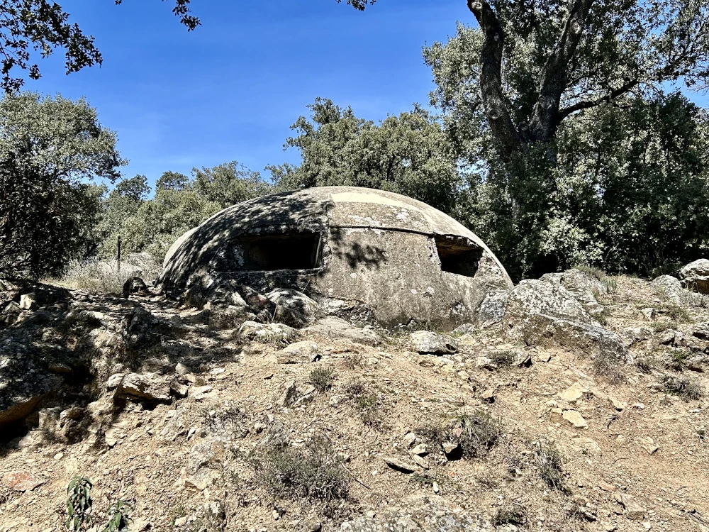 nido de ametralladora