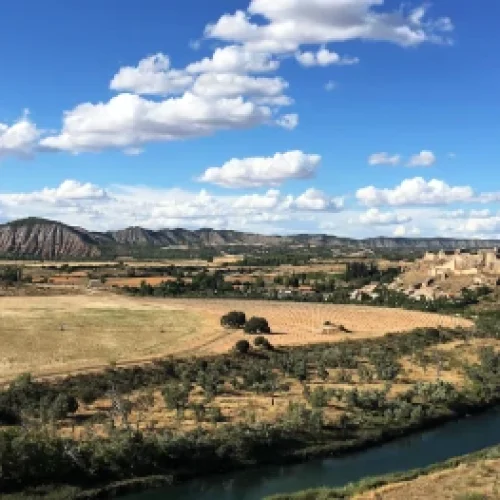Ercávica, Recópolis y Zorita de los Canes – Día de Yacimientos