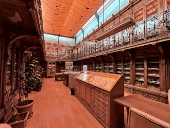 biblioteca y minerales