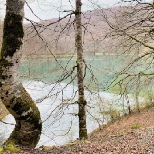 Ruta por Navarra: Selva de Irati, Orbaizeta, Círculos de Piedras y Cueva de Arpea
