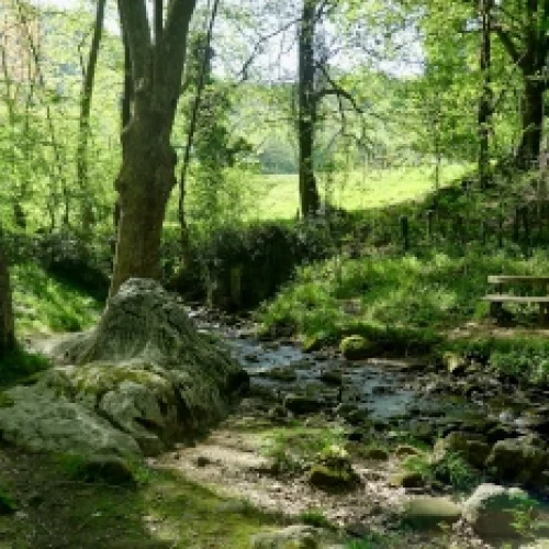 Ruta por Navarra: Zugarramurdi y Roncesvalles